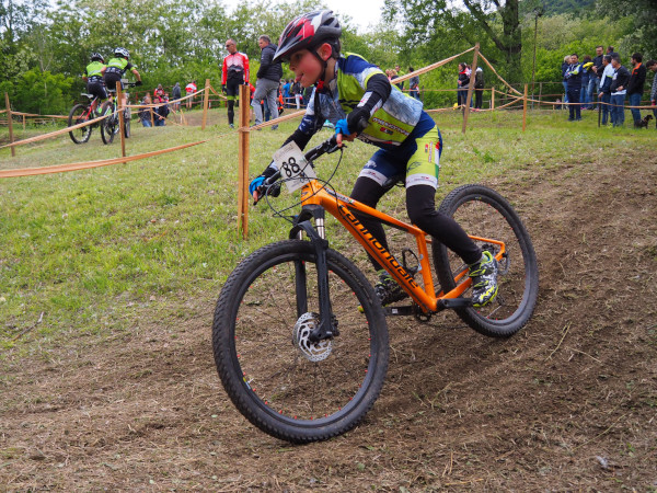 2019 Tommi Mantello